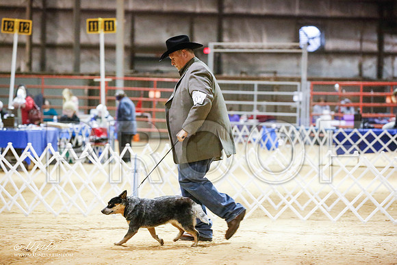 _JN_4324-2-GlenRoseJan2015-HR3