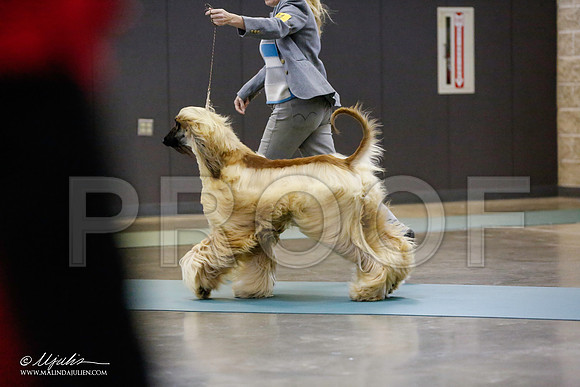 _RH_0735-BeltonJan2015-HR3