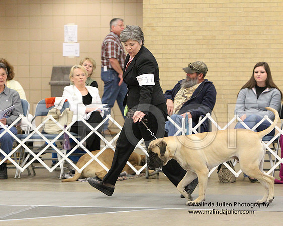 9-12Pup-7984