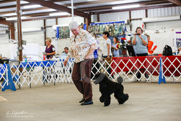 _JJ_4795-AlamogordoOct2014-HR3