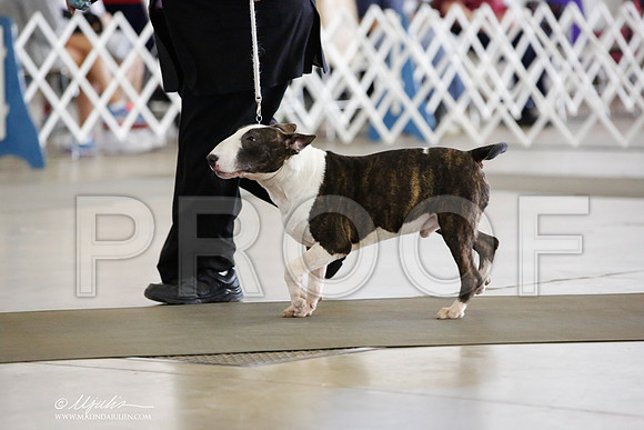 _JN_3569-DallasJul2014-HR3