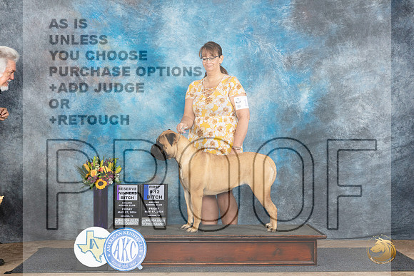 Bullmastiff #10 Fri RWB1 Judge Rick Gschwender__JP_9155_Abilene_2024_HR3