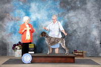 German Shorthaired Pointer #12 Sat G3 Judge Gloria Kerr