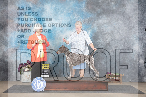 German Shorthaired Pointer #12 Sat G3 Judge Gloria Kerr__JP_7313_Belton_2024_HR3