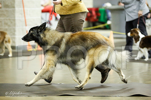 _JJ_7053-BeltonJan2015IABCA-HR3