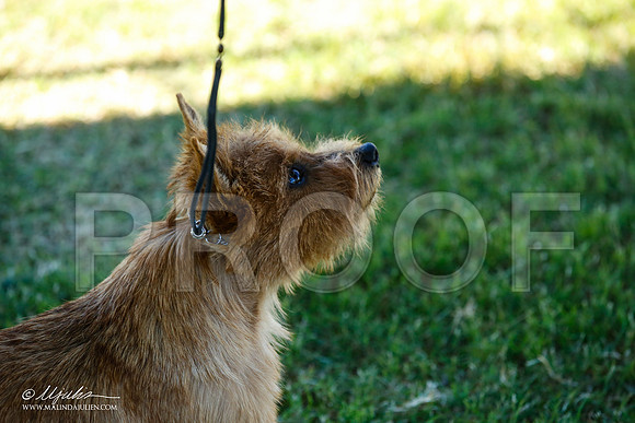 _JN_4820-AlamogordoOct2014-HR3