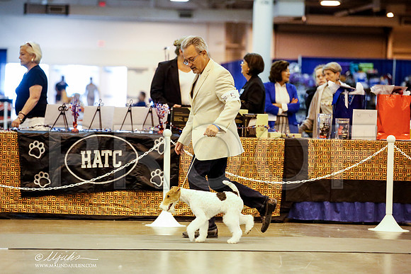 _JJ_8671-DalJul2014-HR3