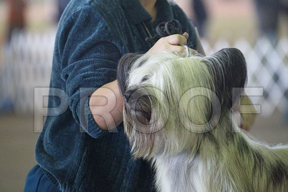 MJS_7395
