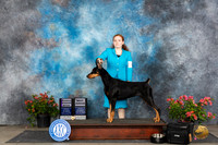 Doberman Pinscher #6 J500 Sat RWB BJr  Judge Bridget Brownn