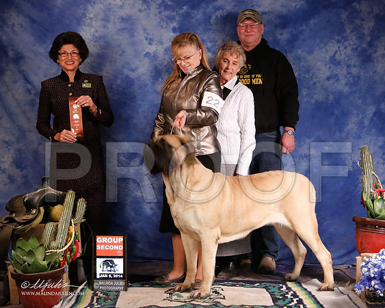 Mastiff-5526-GRJan14-HR