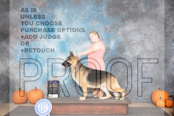 German Shepherd #5 Fri BOB Judge William Daughtery__JP_8588_Humble_2024_HR3