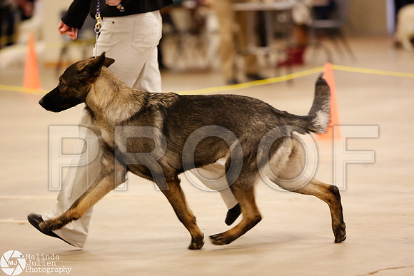 GSD-9799-Waco14-HR