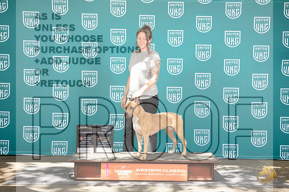 American Pitbull Terrier #323 Reserve TD Judge Matt Proctor__JP_1912_Longview WA_2024_HR3