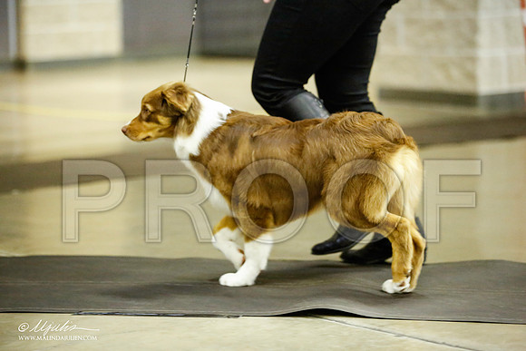 _JJ_6044-BeltonJan2015IABCA-HR3