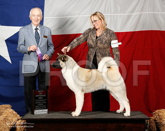_ST_1556-2-AmarilloSep2014-HR3