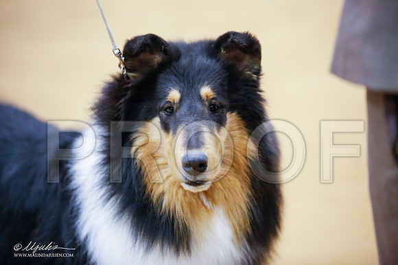 _JJ_6678-GlnRoseJan2015-HR3