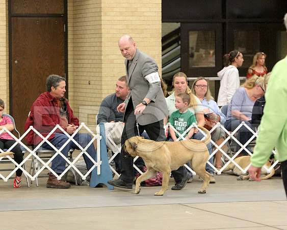 9-12Pup-8615