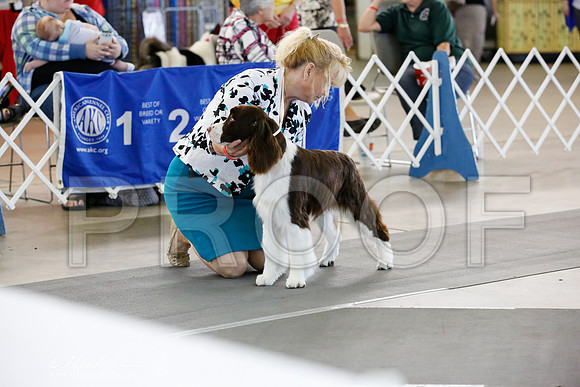 _JN_1564-DallasJul2014-HR3