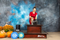 Yorkshire Terrier #6 Sun OhG4 Judge Lisa Graser