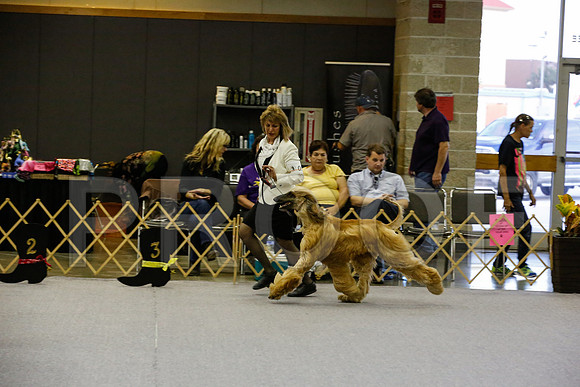 _JN_4296-AfgBeltonOct2014-HR3