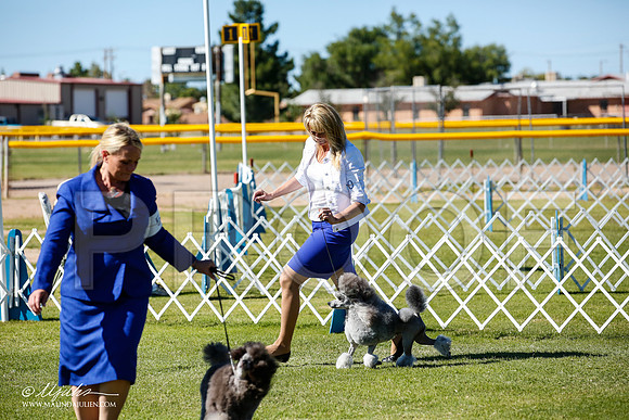 _JN_9422-AlamogordoOct2014-HR3