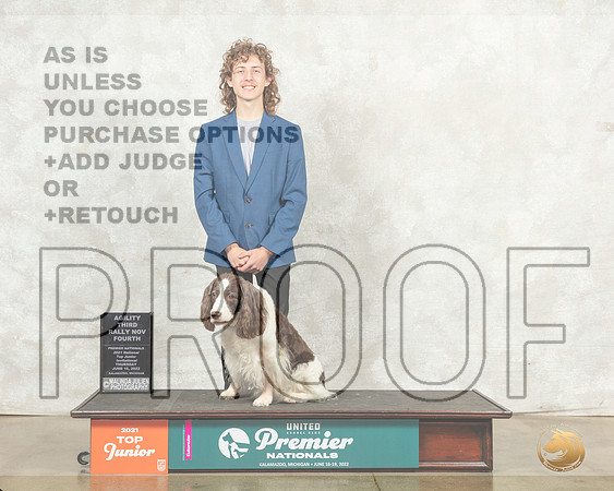 English Springer Spaniel #832 ARNov Judge Kim Thomason__MJ_8299_Premier_2022_HR3