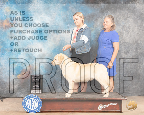 Labrador Retriever #23 Fri OHG1 Judge Eric Liebes-MMJ_4553-Abilene2022-HR3