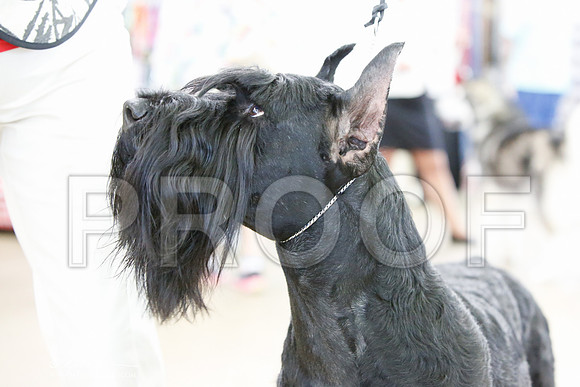 _JJ_0205-DallasJul2014-HR3