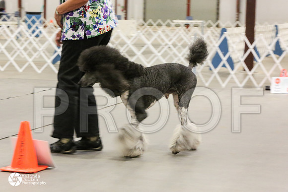 MJ2_9374-BltnApr14-HR