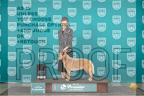 Australian Cattle Dog #112 Thur SemiF Judge Sharon Griffin__JP_1114_Premier_2024_HR3