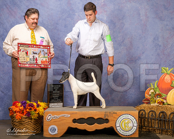 _CL_4572 - Version 2-SanAngelo2014-HR3