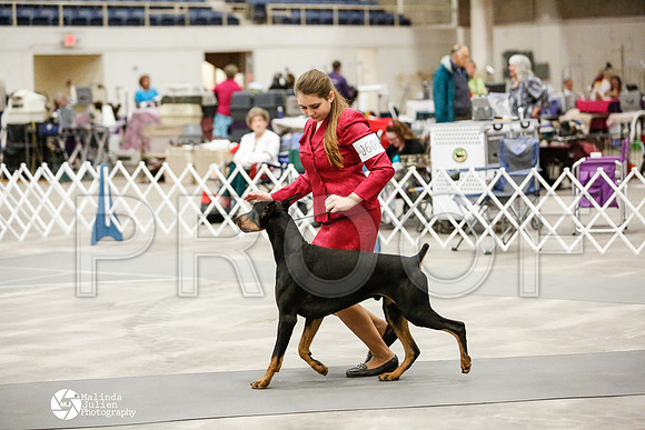 _RH_2155-AblnMay2014-web