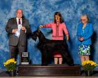 Giant Schnauzers #17 Fri SD Schaffer Cheryl Robert Melisa Davis Judge Mr Douglas R Holloway