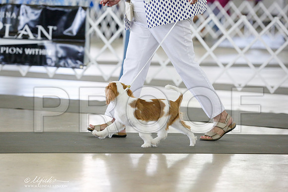 _RH_0602-DallasJul2014-HR3
