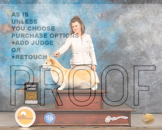 Pembroke Welsh Corgi #38 Sun G3 Judge Barbara AldermanMMJ_2551_Mdlnd2022_HR3