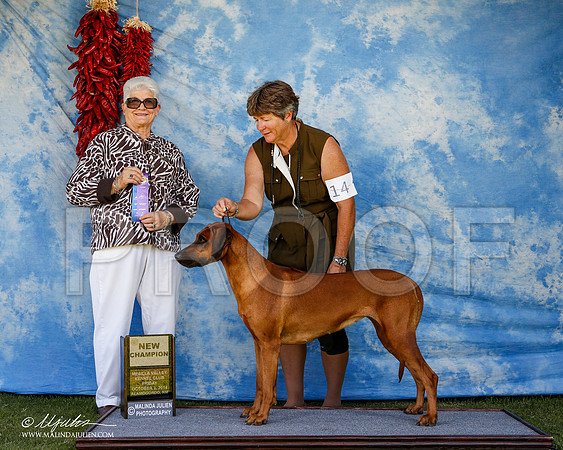 _ST_2690-2-AlamogordoOct2014-HR3