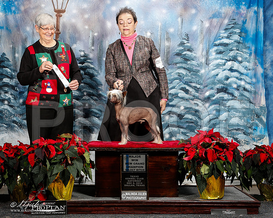 _ST_8523-2-DallasDec2014-HR3