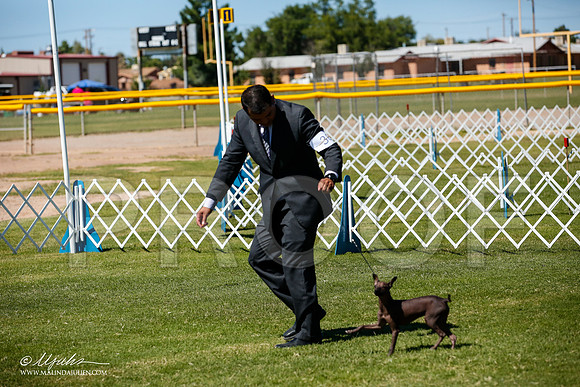 _JJ_8365-AlamogordoOct2014-HR3
