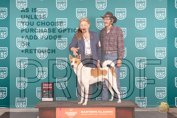 Canaann Dog #115 Fri G2 Judge Kathy Russell __JP_1966_UKCEastern_2024_HR3