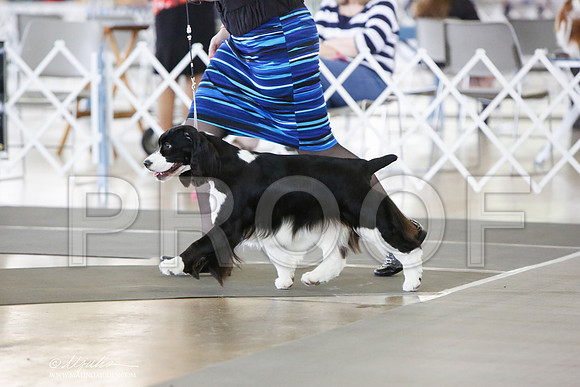 _JN_0675-DallasJul2014-HR3