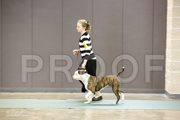 _JN_1533-BeltonJan2015-HR3