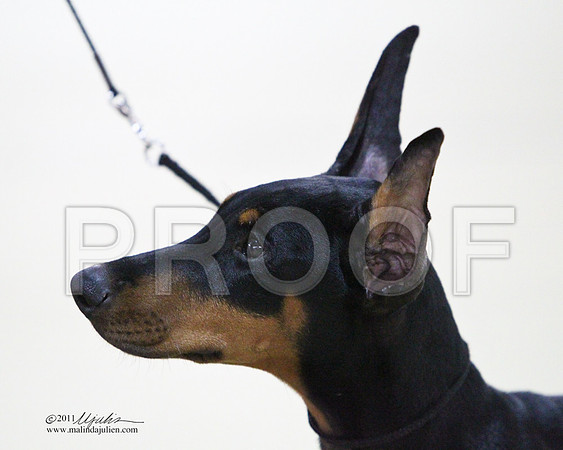 Dobe-5112LR