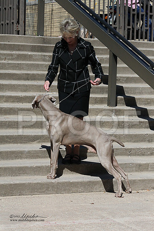 WeimCustom-9391