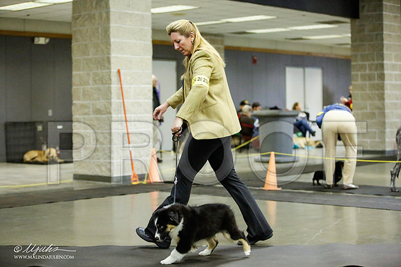 _JJ_6227-BeltonJan2015IABCA-HR3