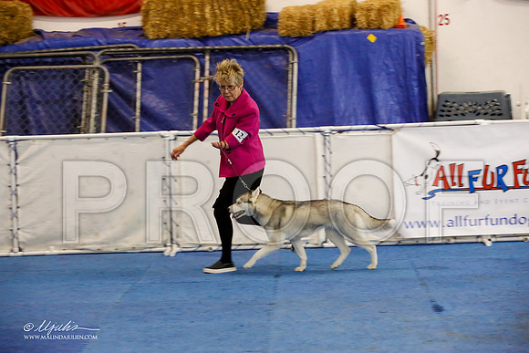 _M3_0616-AddisonHuskyMar2015-HR3