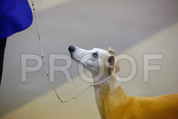 _JN_8409-AmarilloSept2014-HR3