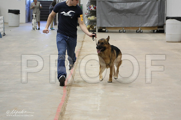 IMG_9253-Abilene2011-HR3