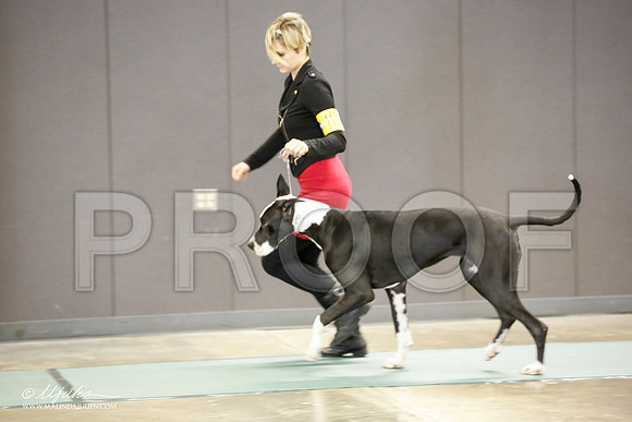_JN_2089-BeltonJan2015-HR3