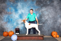 Pointer #5 Sat G2 Ann Roth