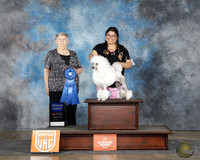 Isabella Jaime UKC Midwest Classic 2025